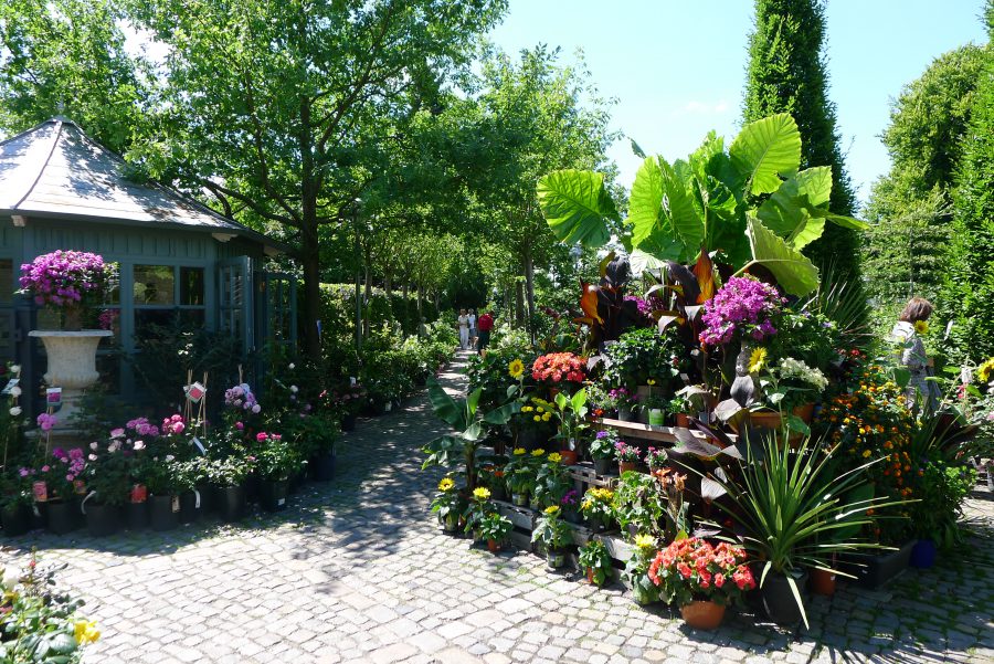 Berlin Dahlem - Königliche Gartenakademie - H2slOw